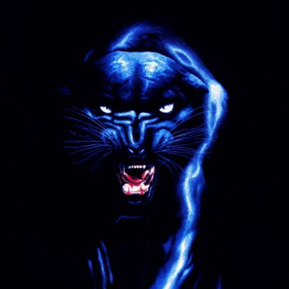 Panther Hunt
