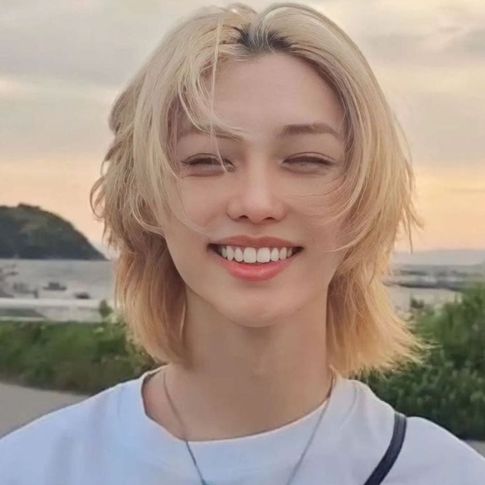  Felix | FAN ACC