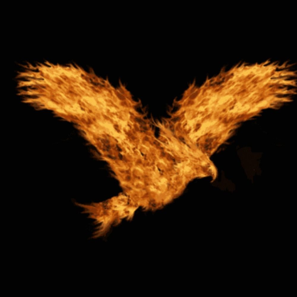 Phoenix of Berlin 🦅