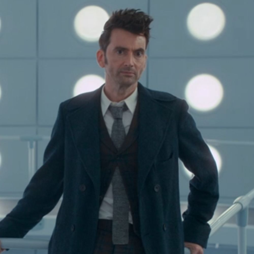 The Fourteenth Doctor