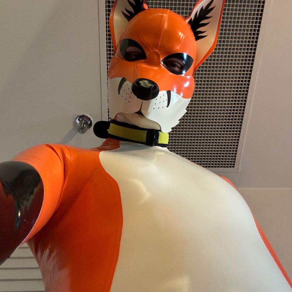 Squeaky Foxie