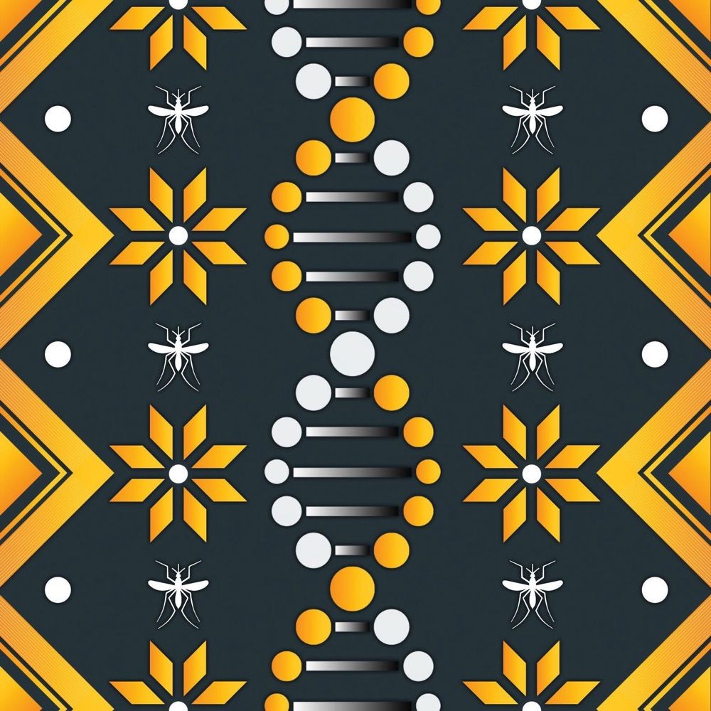 American Association of Anthropological Genetics