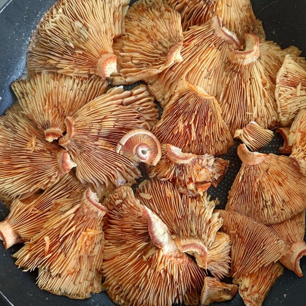 ohCetEcho