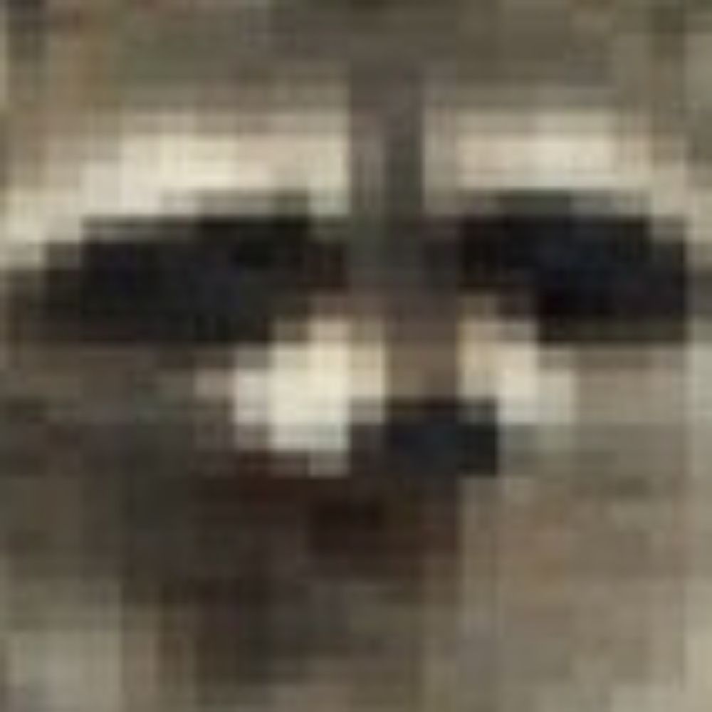롤랑