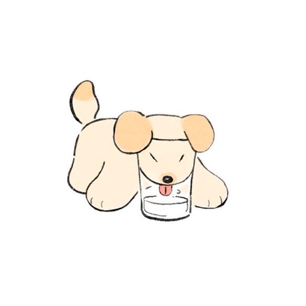 Kiana🏳️‍⚧️🐾