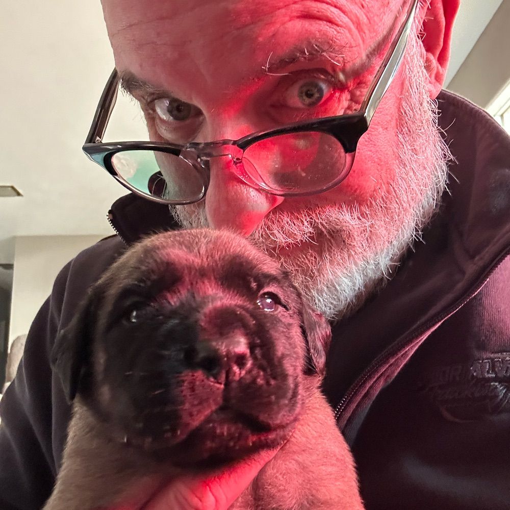 Big Dog Daddymann