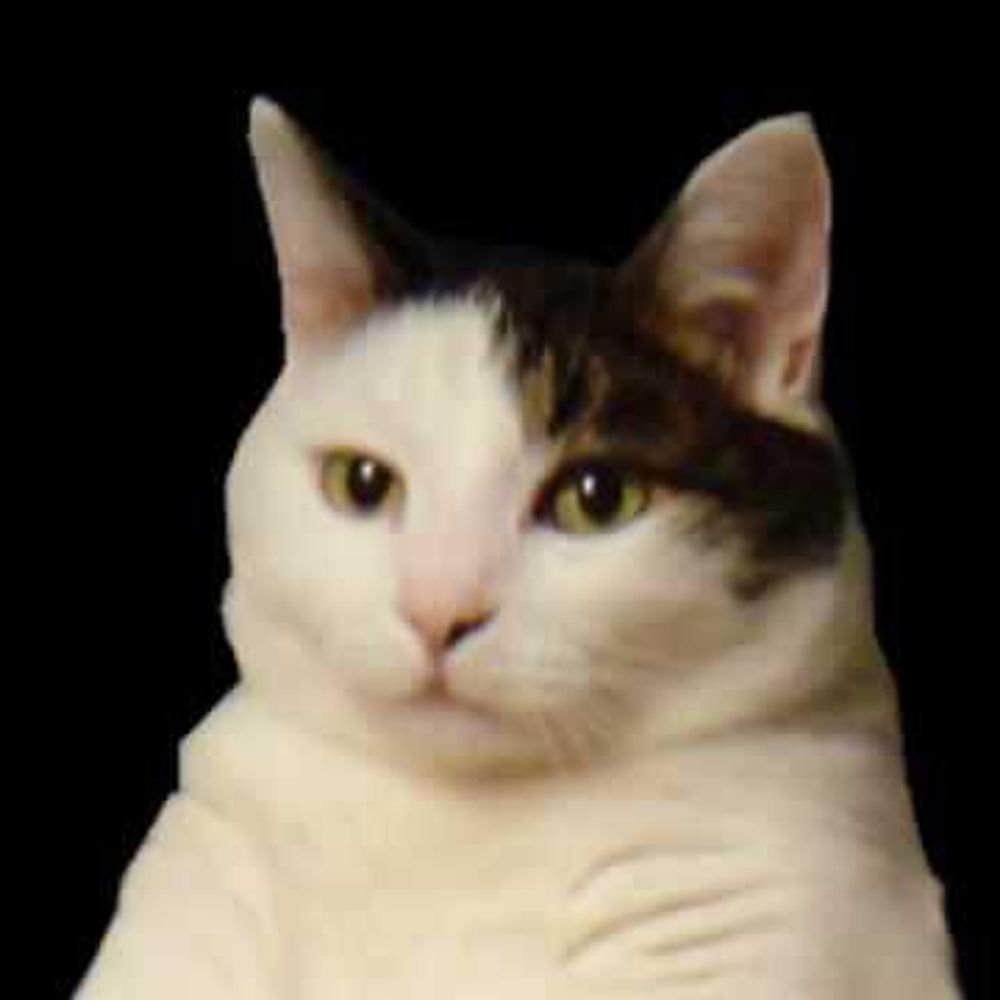 PurrrPosing