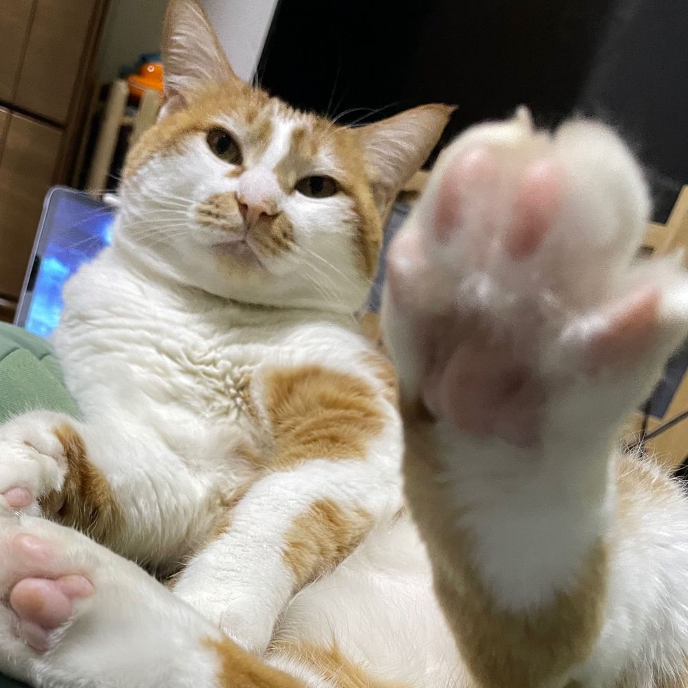 プン