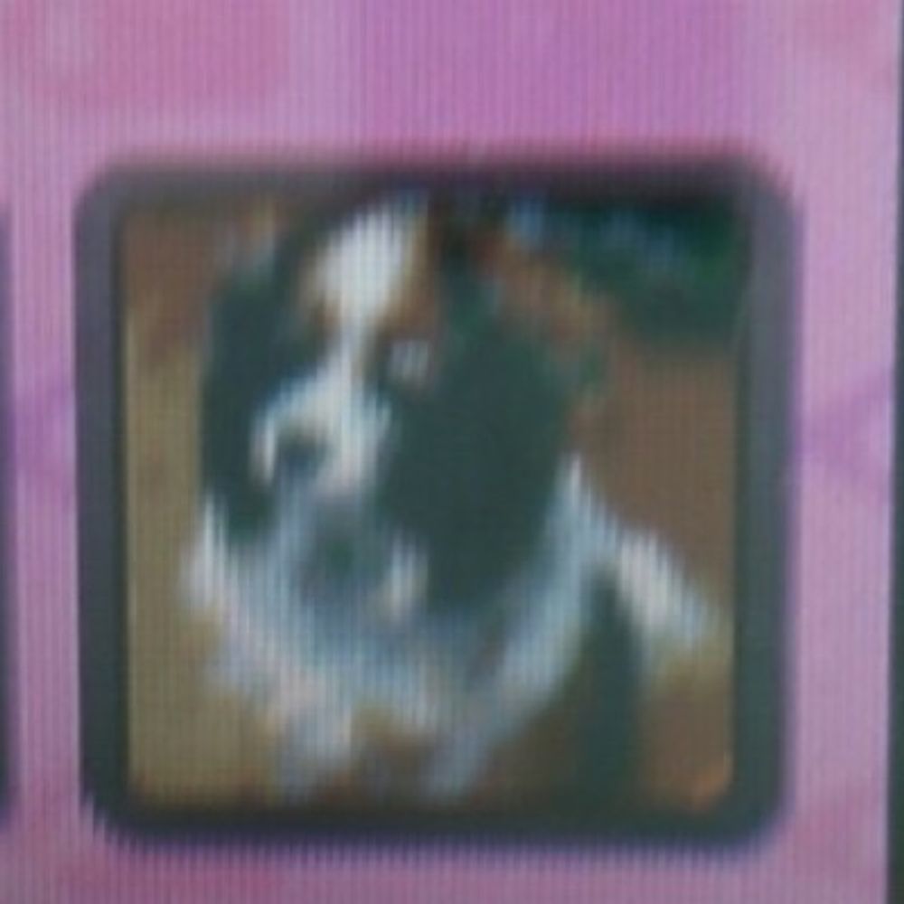 User avatar