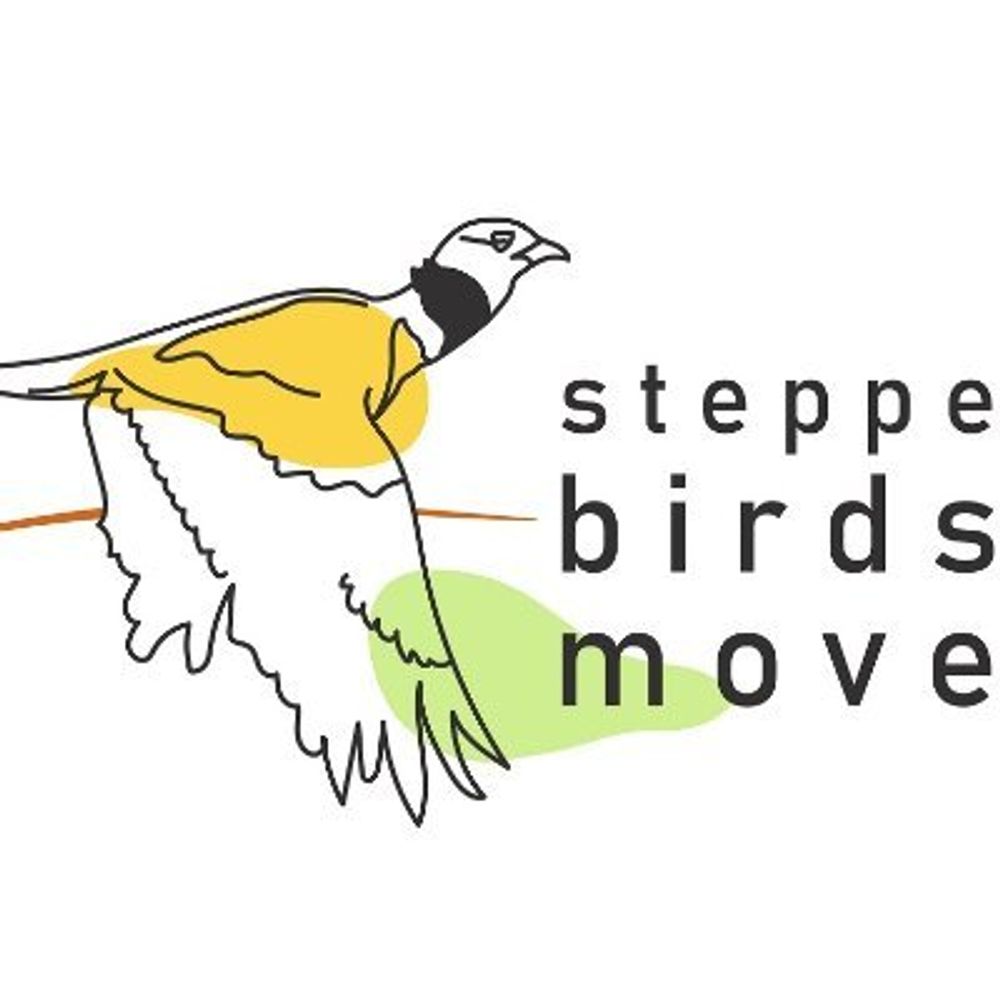 Steppe Birds MOVE