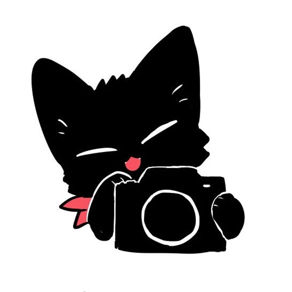 やーさん🐈‍⬛/ya-san