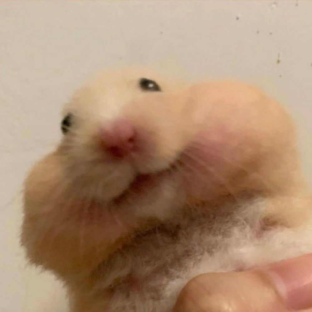 콩