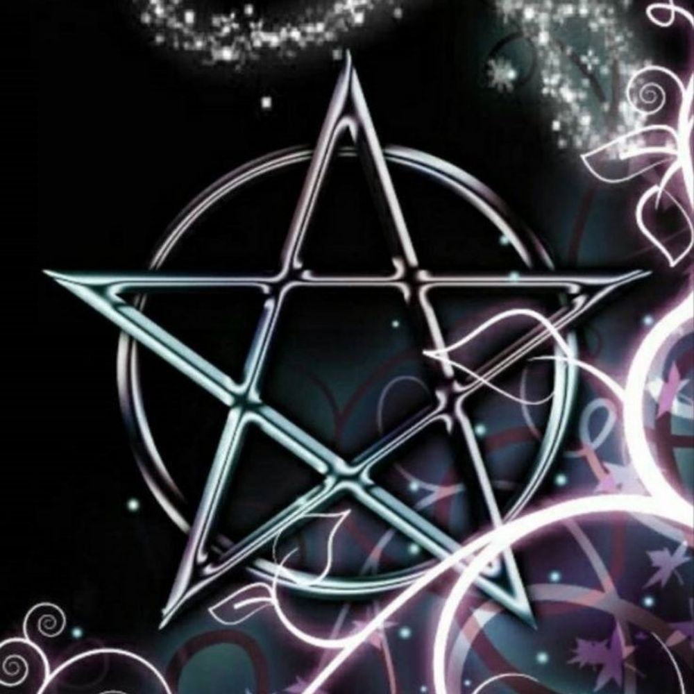 bookbrainsbabe.bsky.social profile picture