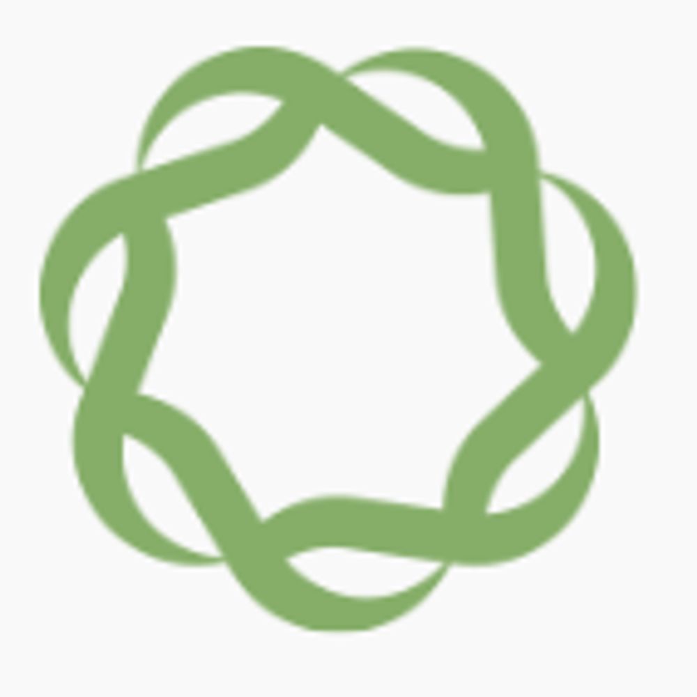 SRNT Health Equity Network