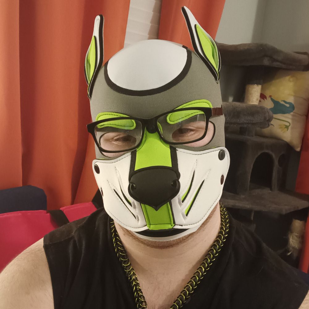 Pup Teak