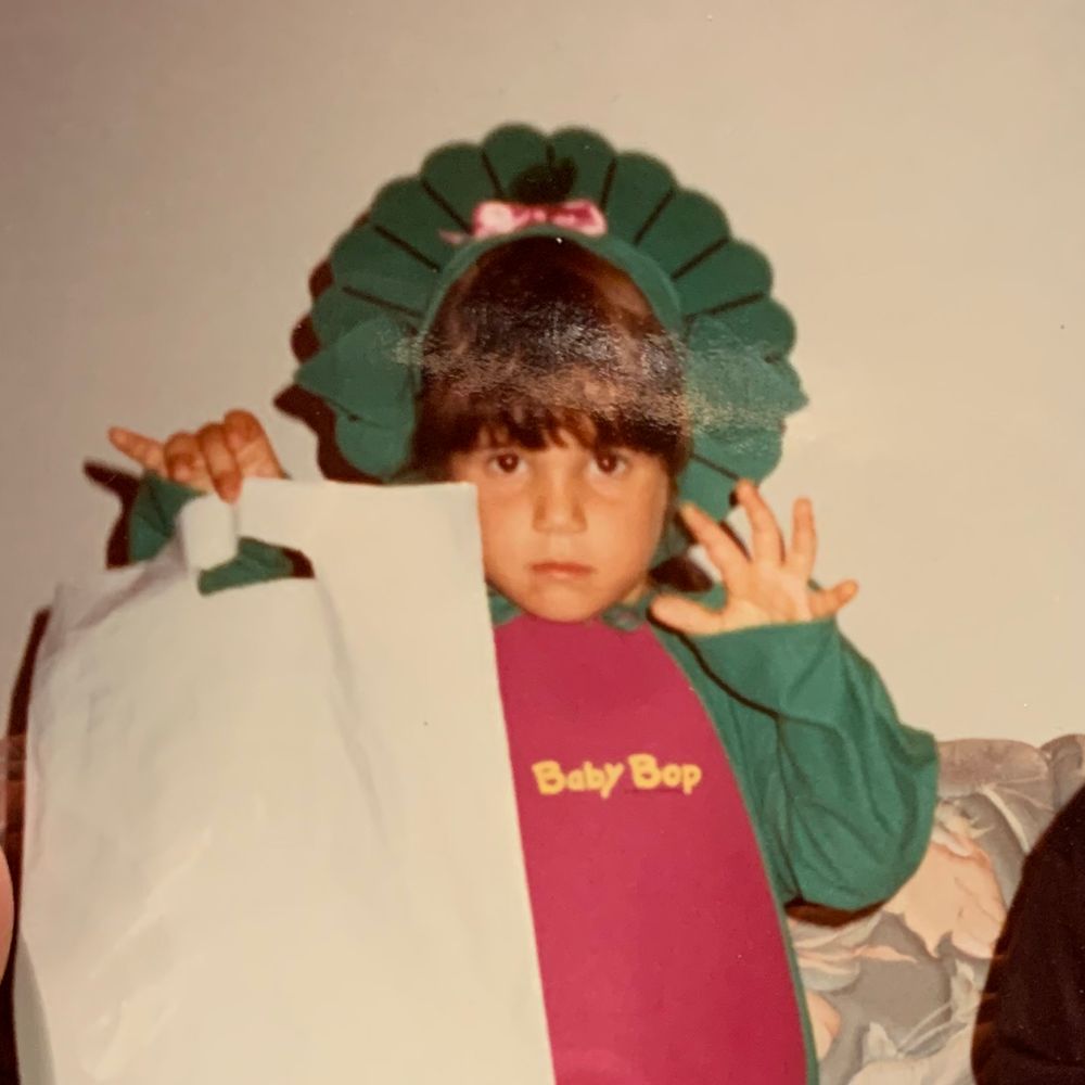 Pogs Champion