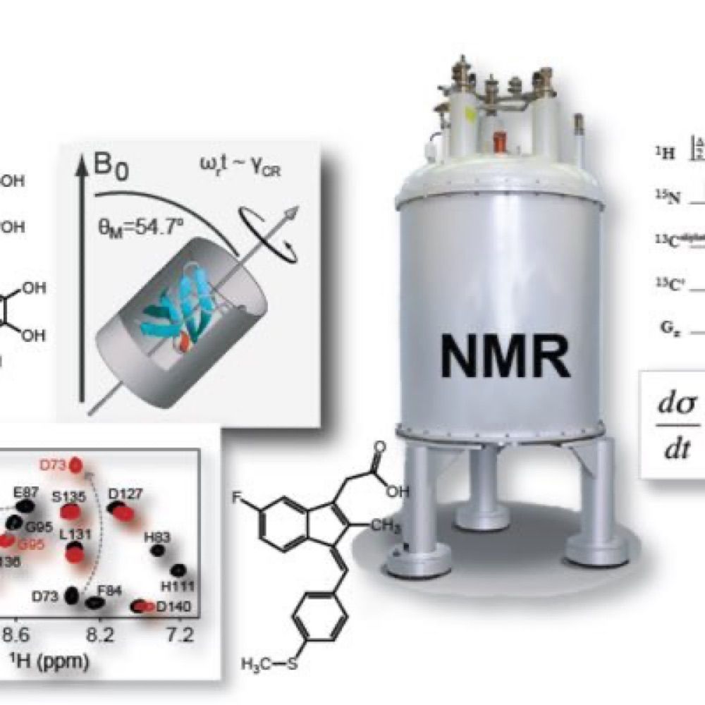 Reif Lab