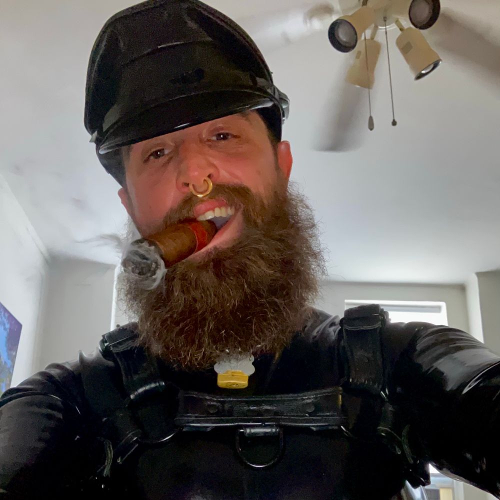 Alpha pup Ash