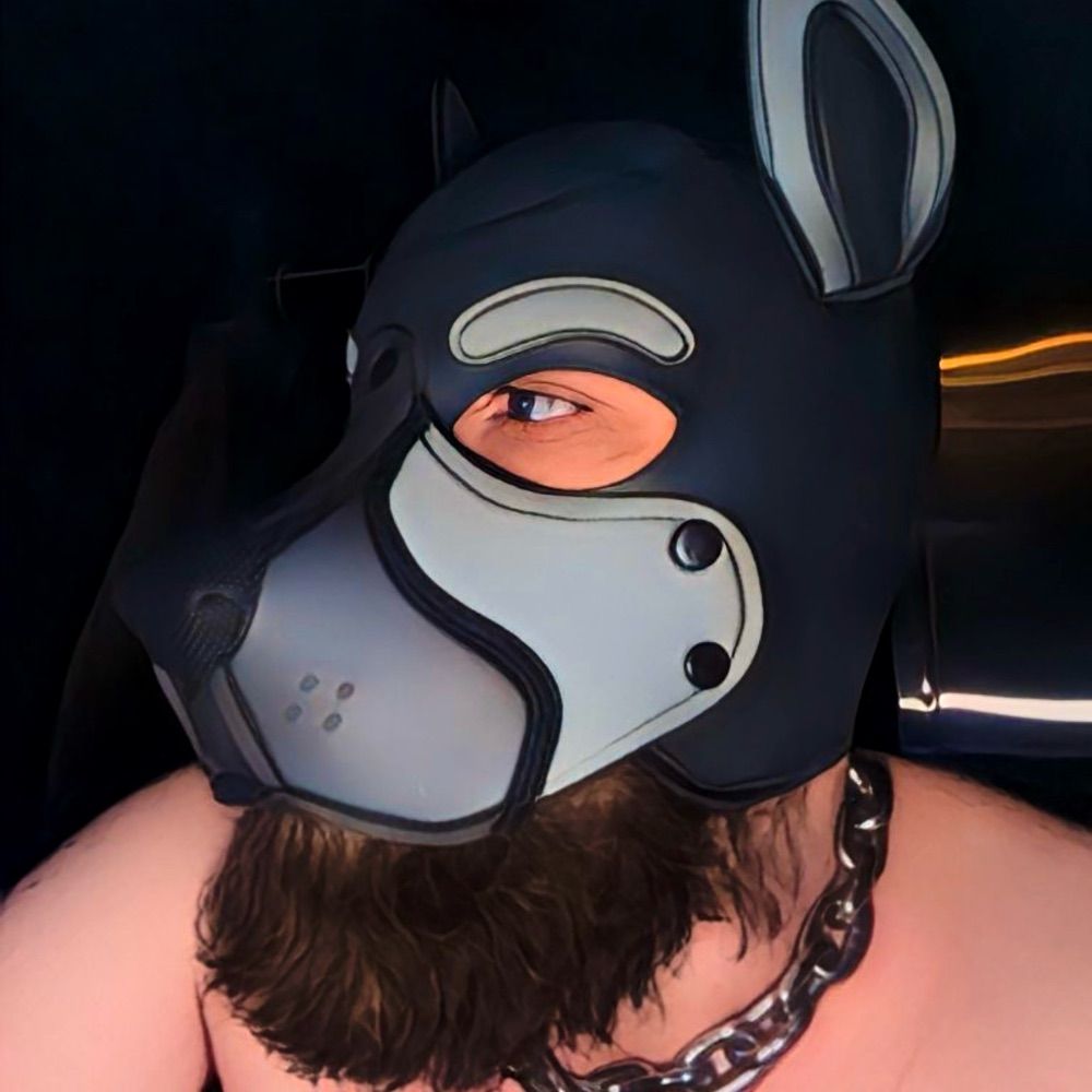 pup ash