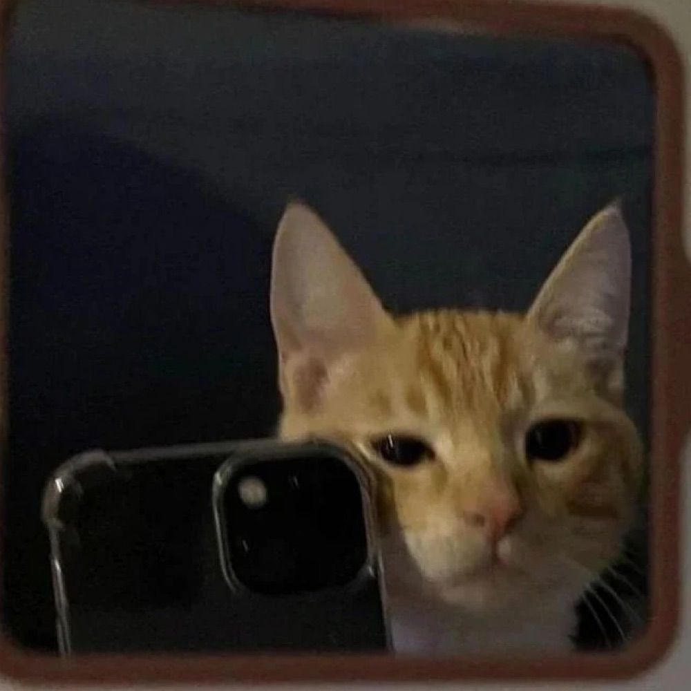 m🤠