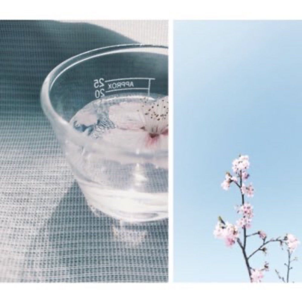 ﾋﾛ☔︎