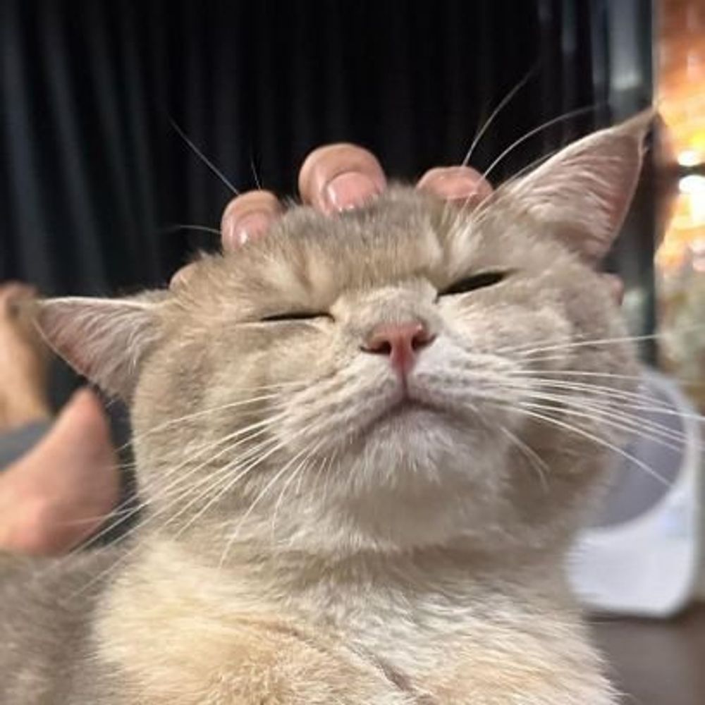 𝘢𝘳𝘶𝘶✨