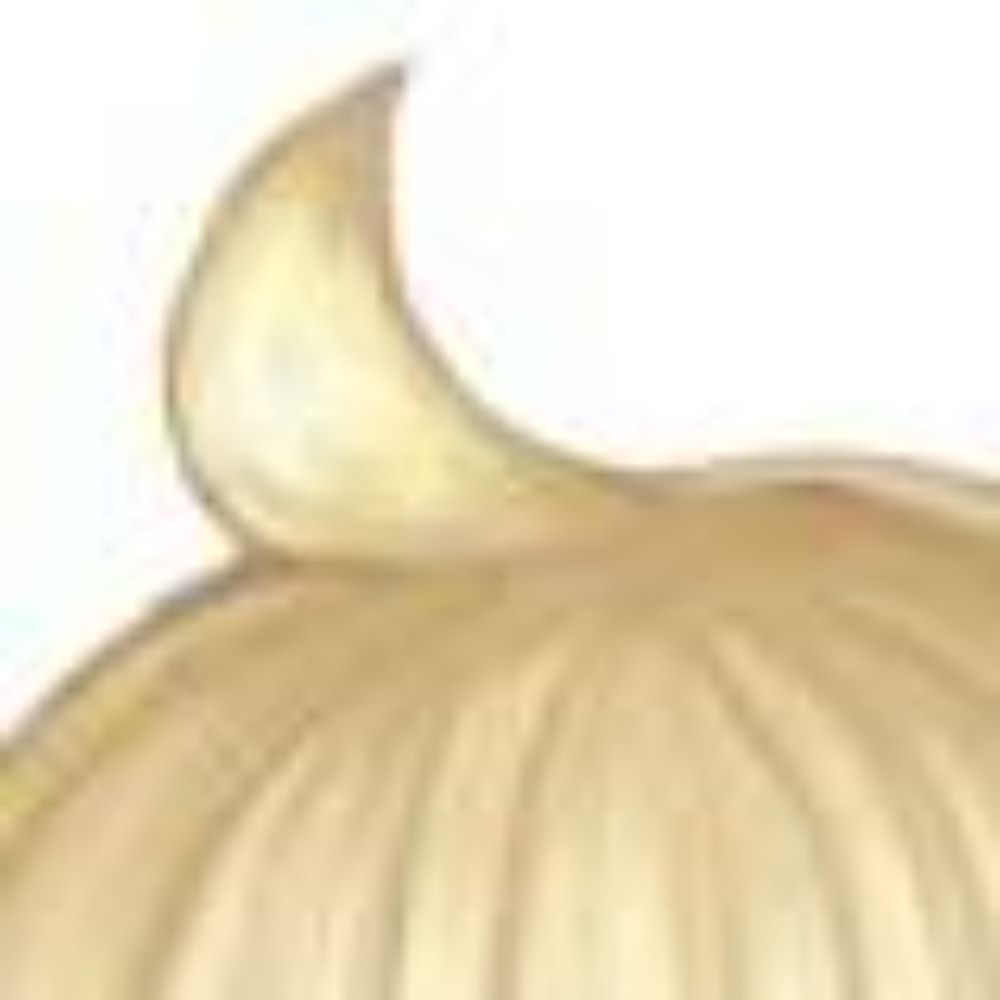 Shino