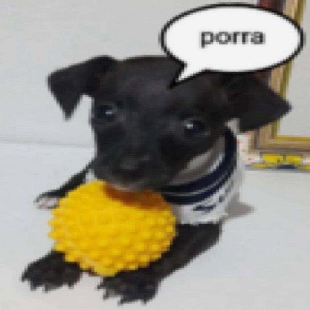 User avatar