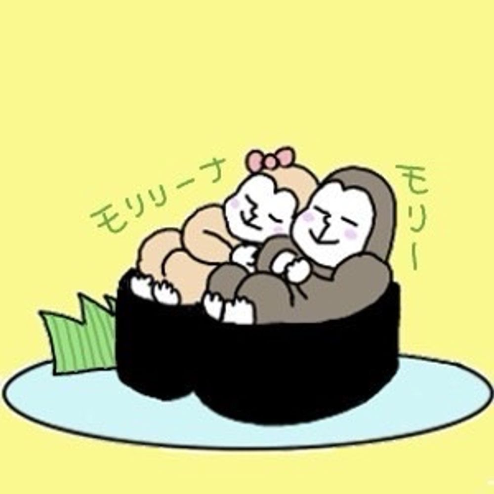 モリリーナ・モリー