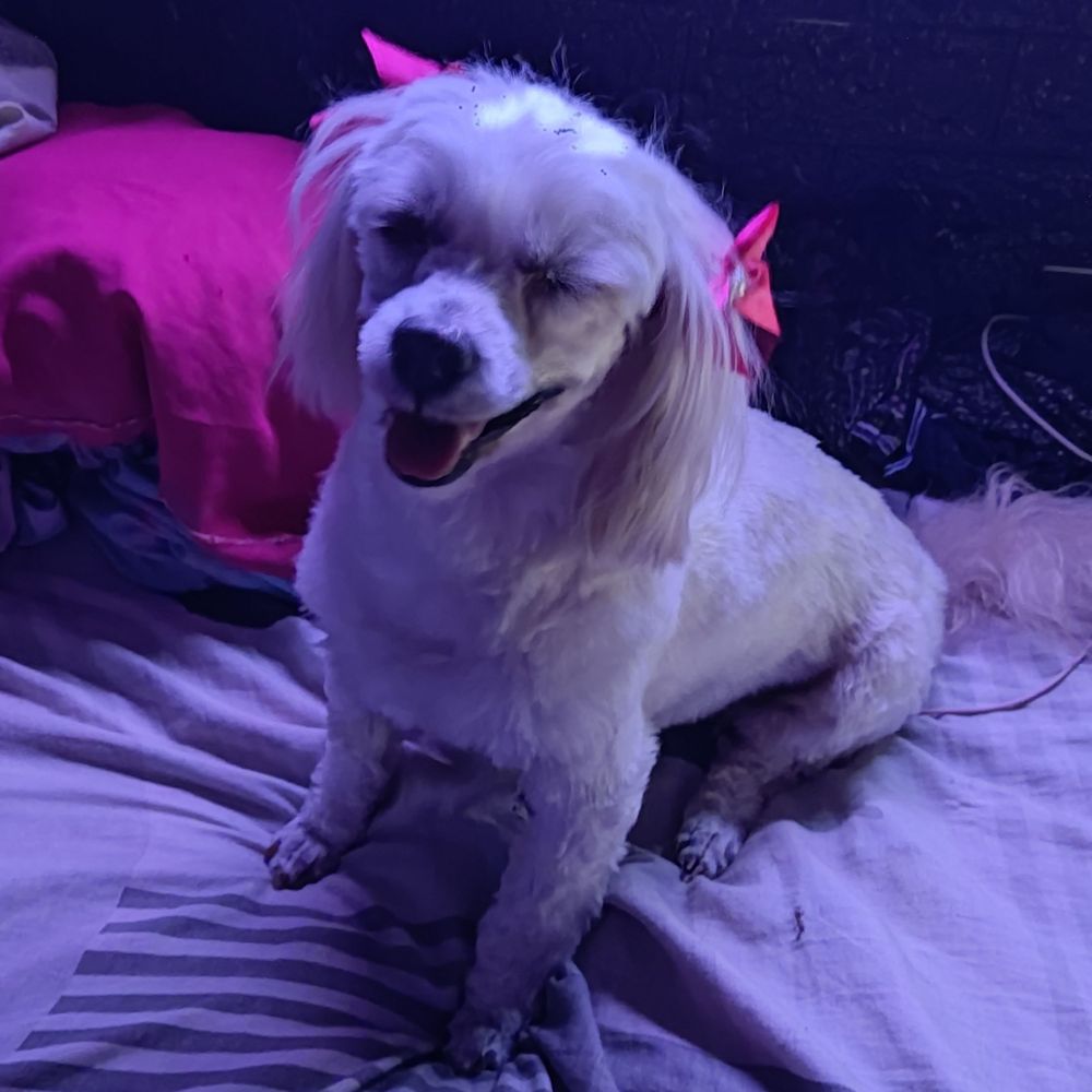 Cristína 🏳️‍🌈