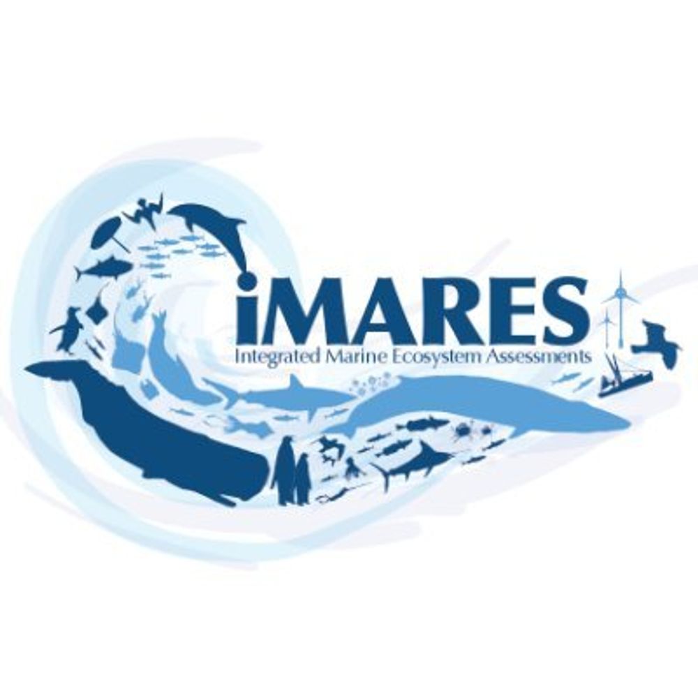 iMARES_group