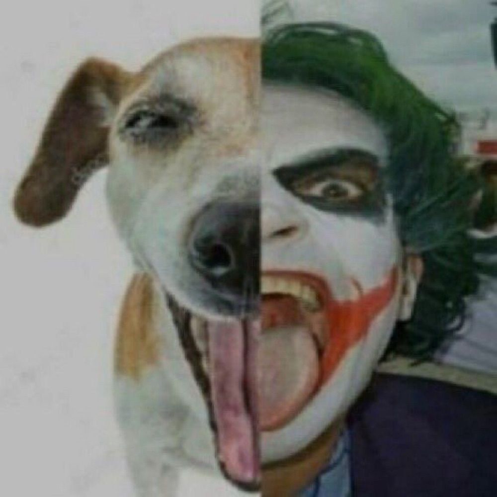 Jezz