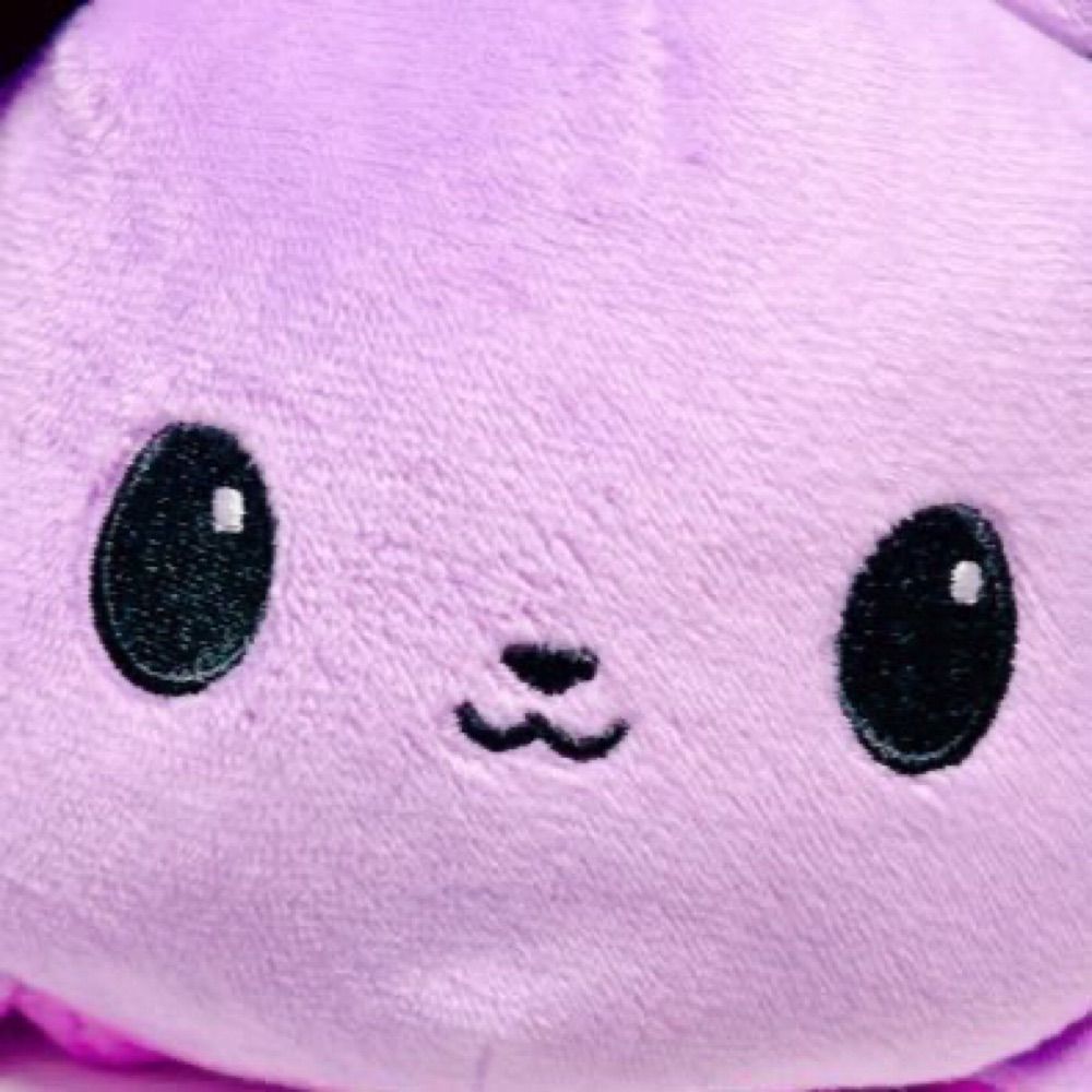 댬♪