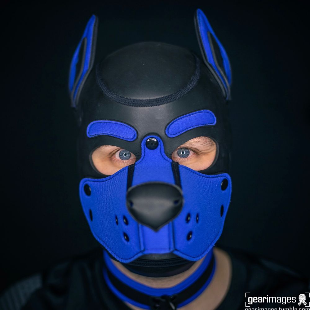 Pup Mako