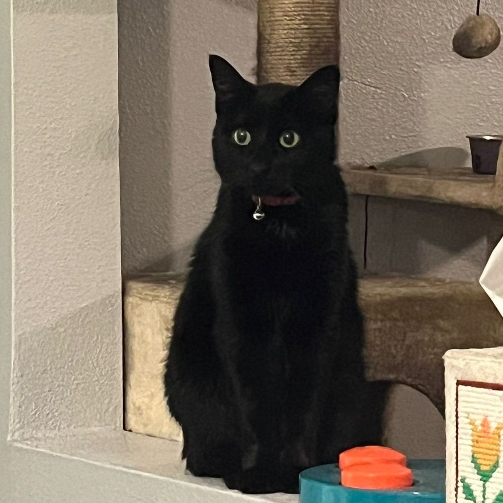 Sam