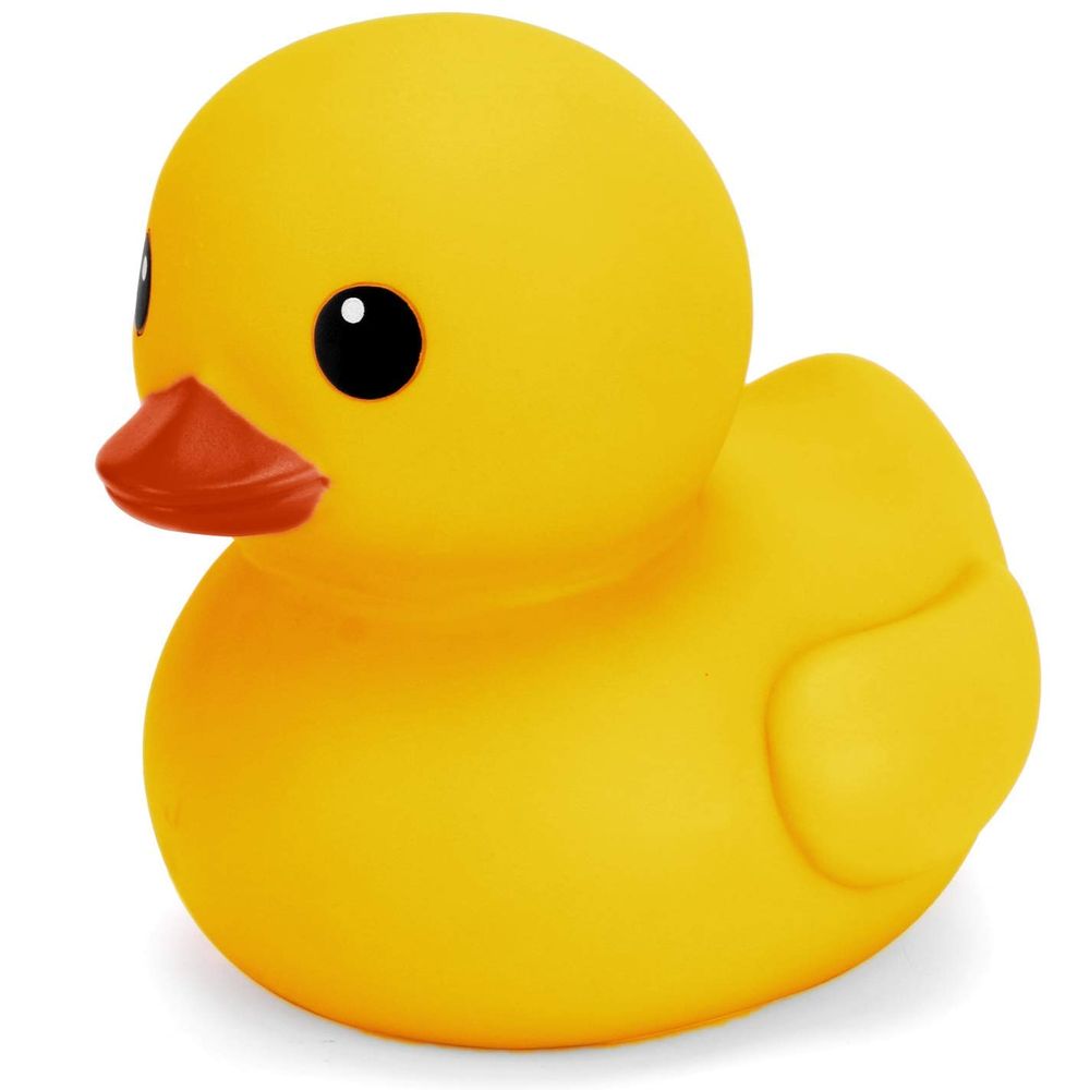 dumdumduckie.bsky.social profile picture