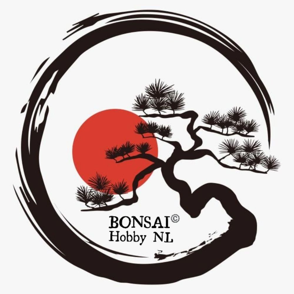 Bonsai Hobby NL 🇳🇱