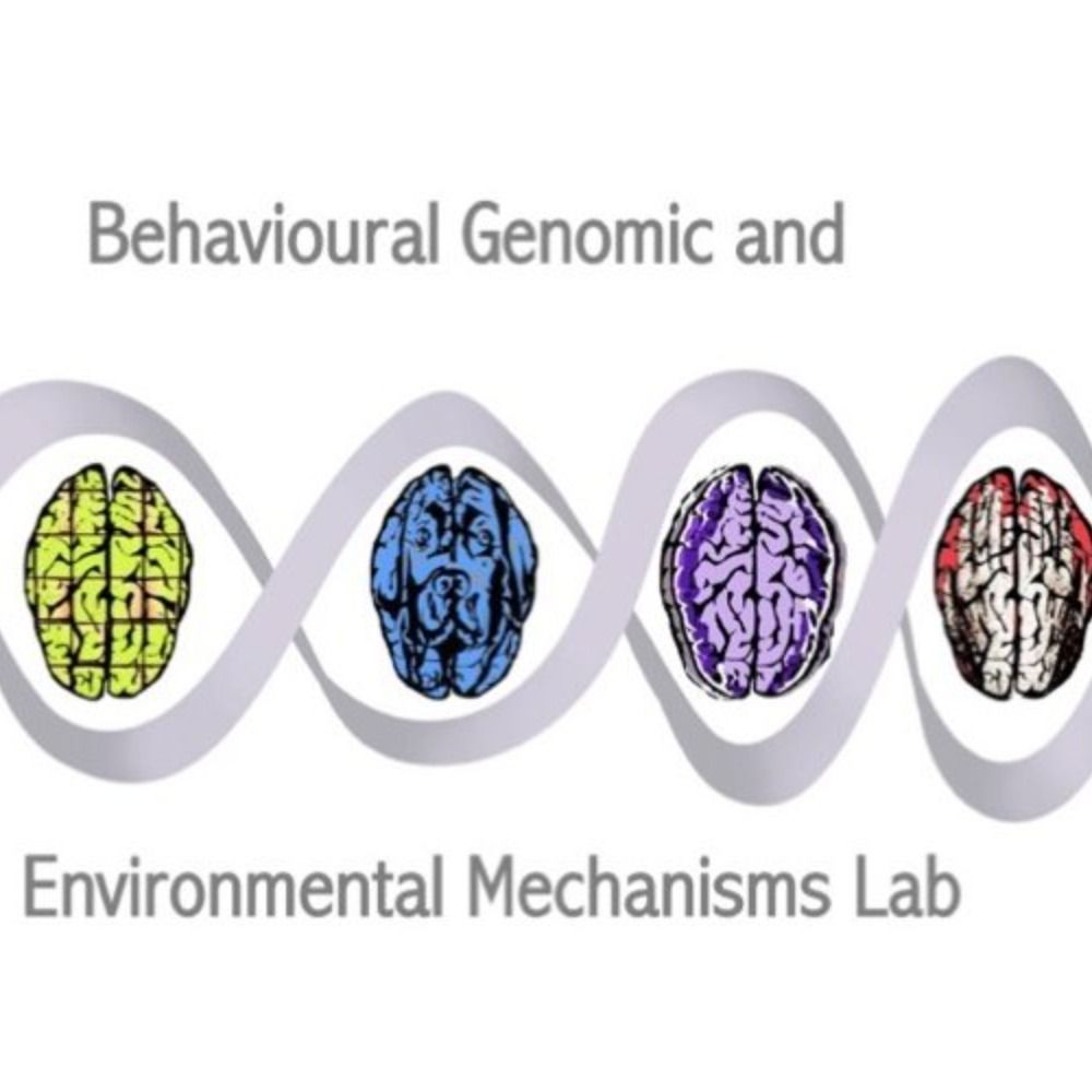 Behavioural GEMs lab