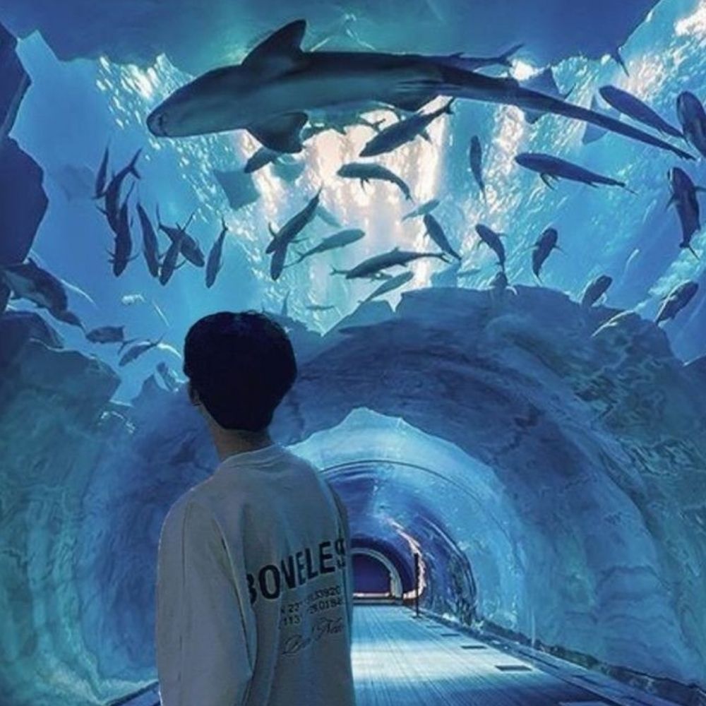 𓏲 𝗍һ᥆mᥡᥱ ! 