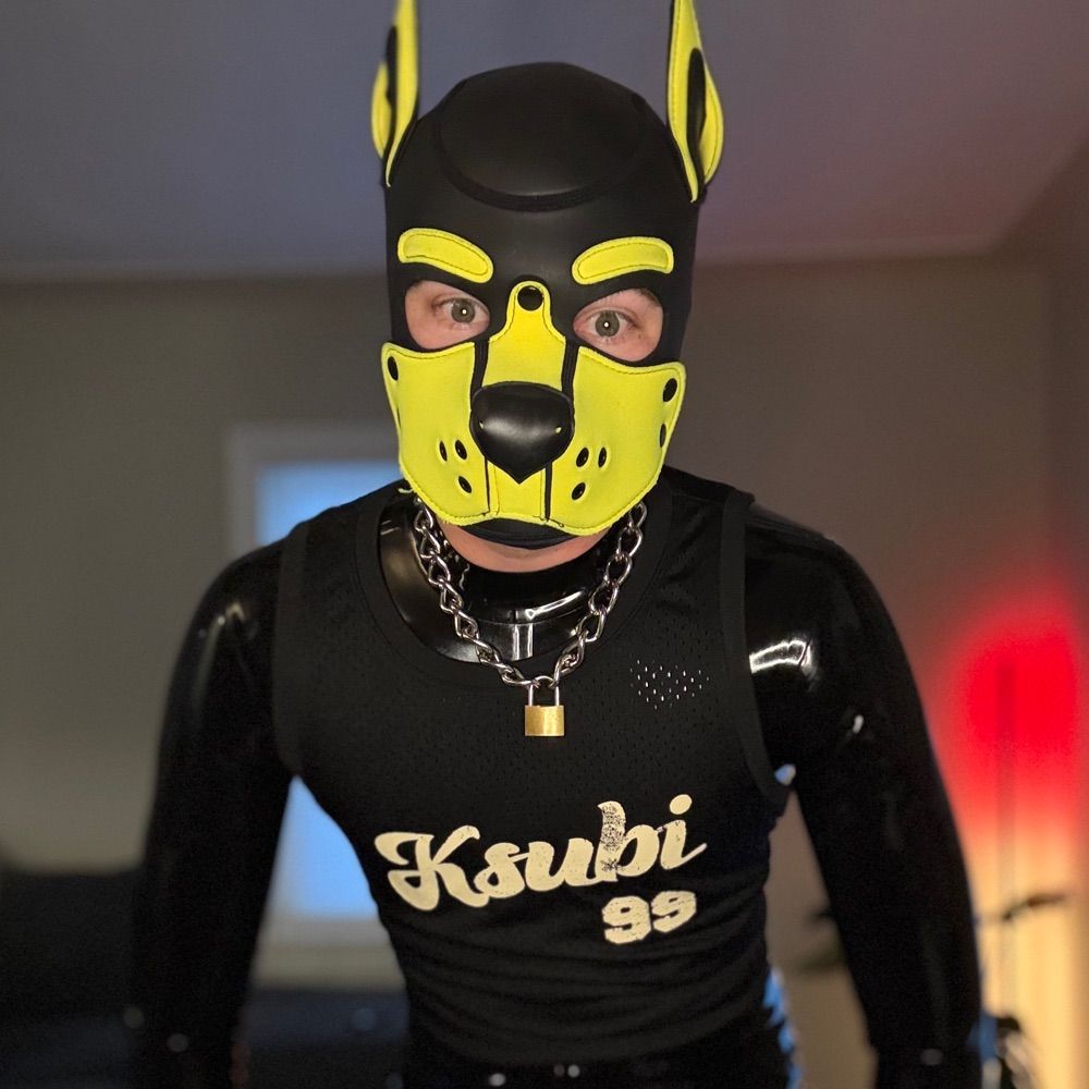 Pup Sprocket