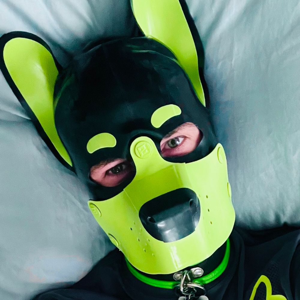 Pup Dax