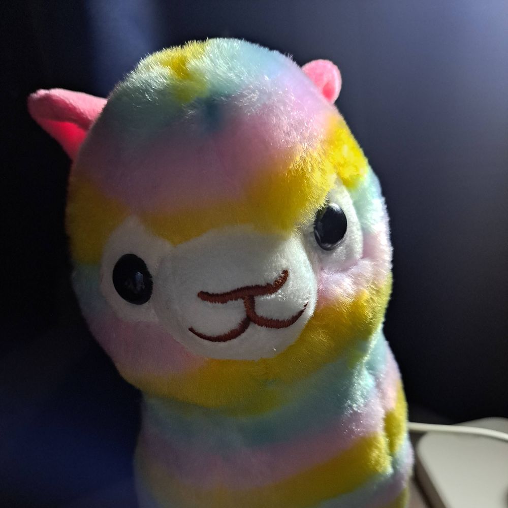 🐉ちっぷ🐉