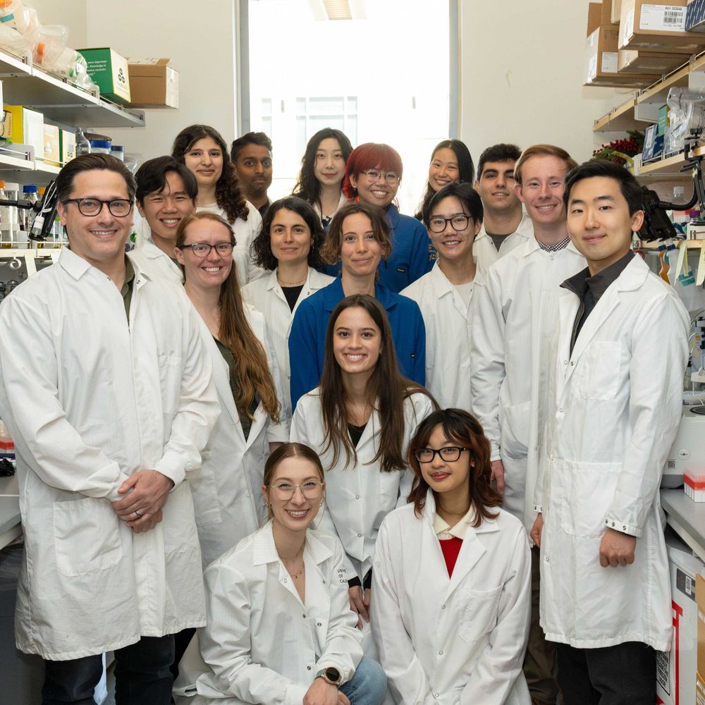Cress Lab