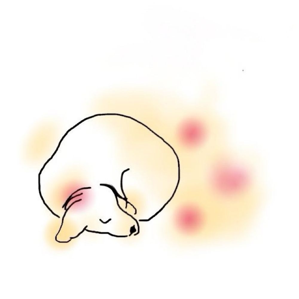 ミコ☺︎