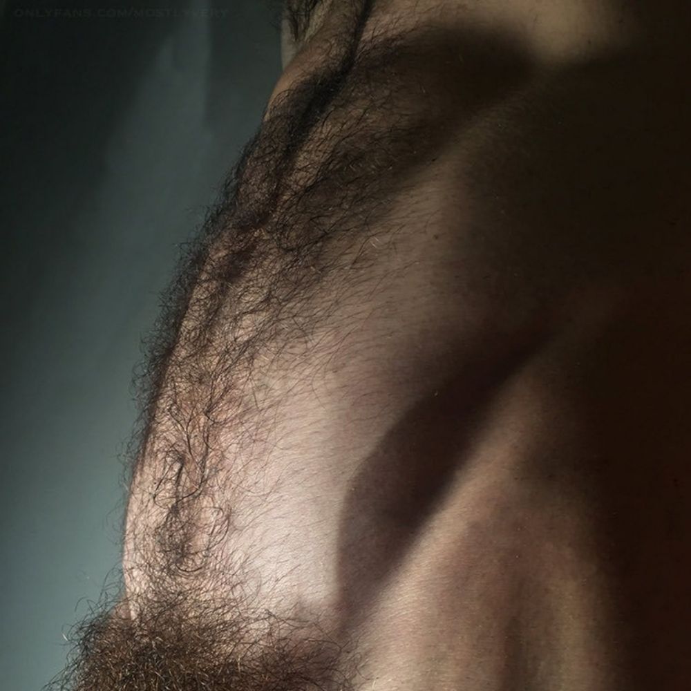 TheBeautyOfHairyMen