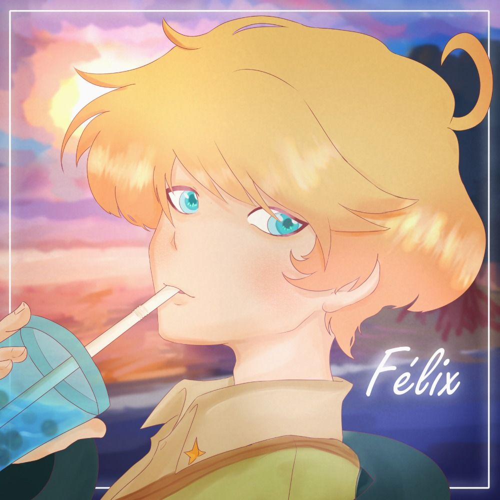 Felixetcie