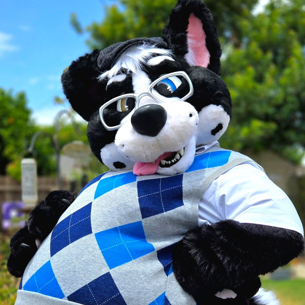 Wuskythehusky
