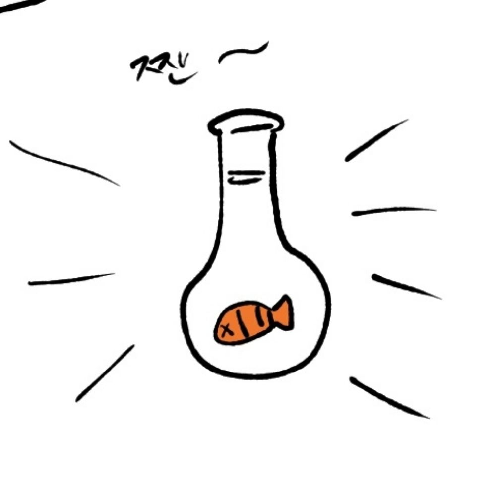 흰동가리