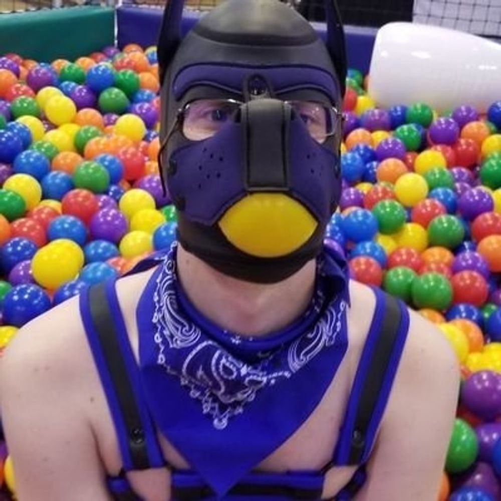 Imagine Waggins @MFF2023 🐶 🏳️‍🌈 💉=2+2 @Megaplex