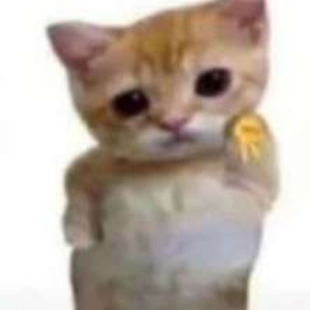もにゃん